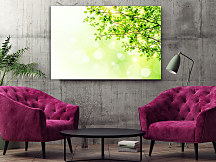 Obraz Zelená vetvička 1581